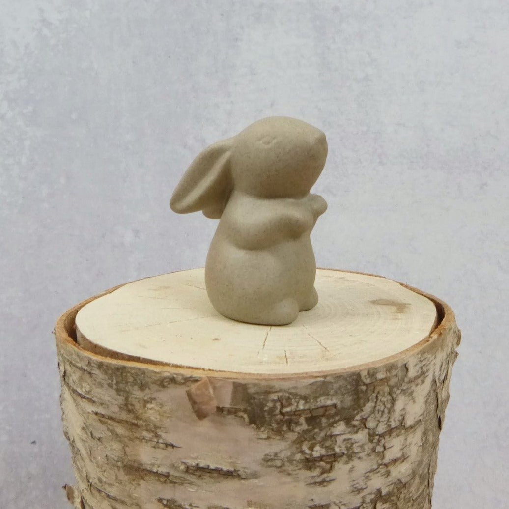 Curious Rabbit Tea Pet