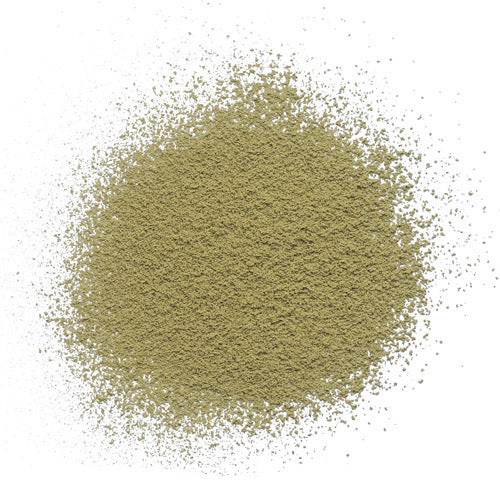 Jasmine Matcha *Online Only*