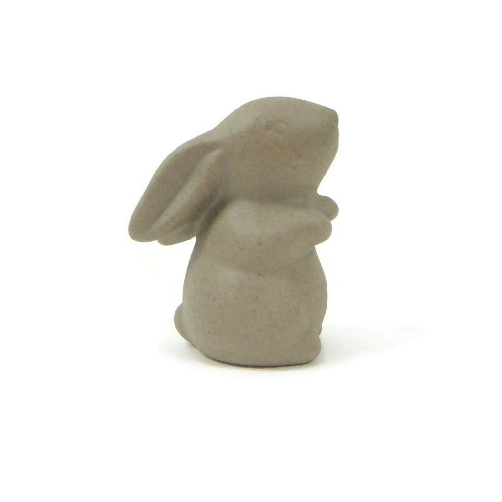 Curious Rabbit Tea Pet