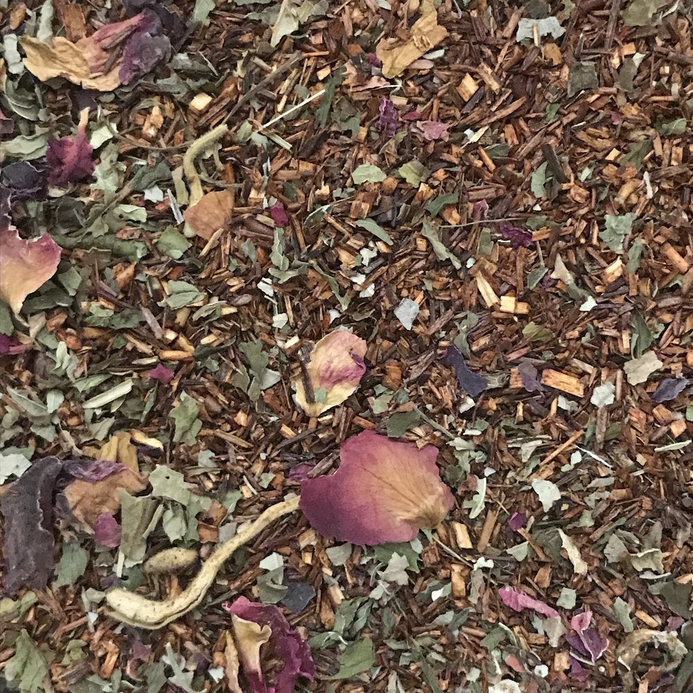 Stolen Season *Online Only*