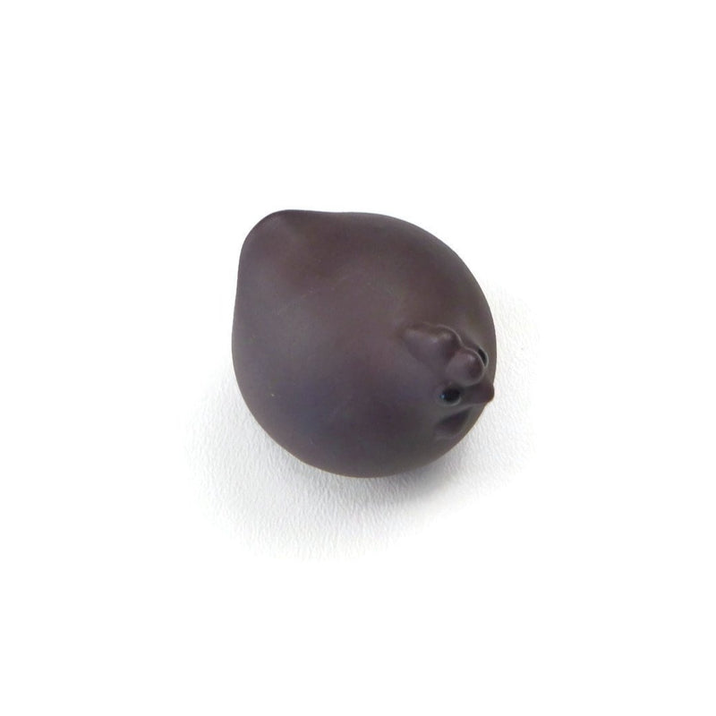 Chicken Tea Pet